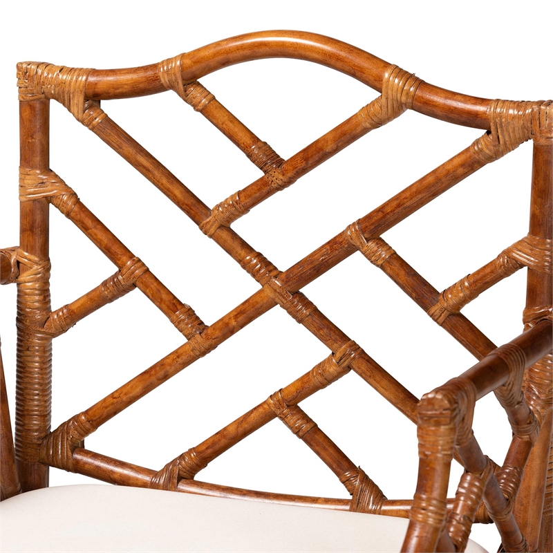 Pemberly Row Set of 2 Marbled Tortoise Natural Rattan Dining Chairs