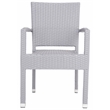 Pemberly Row Wicker / Rattan Outdoor Arm Chairs in Gray (Set of 2)
