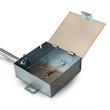 Pemberly Row Adjustable ETL Commercial Grade LED Wall/Ceiling Mount in Brass