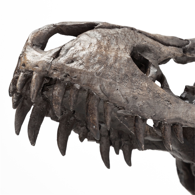Pemberly Row Jurassic 11.8