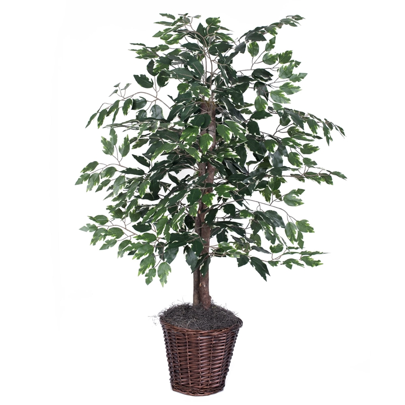 Pemberly Row 4' Artificial Variegated Ficus Bush w/ Rattan Basket in Green/White