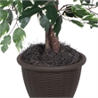 Pemberly Row 4' Artificial Variegated Ficus Bush w/ Rattan Basket in Green/White