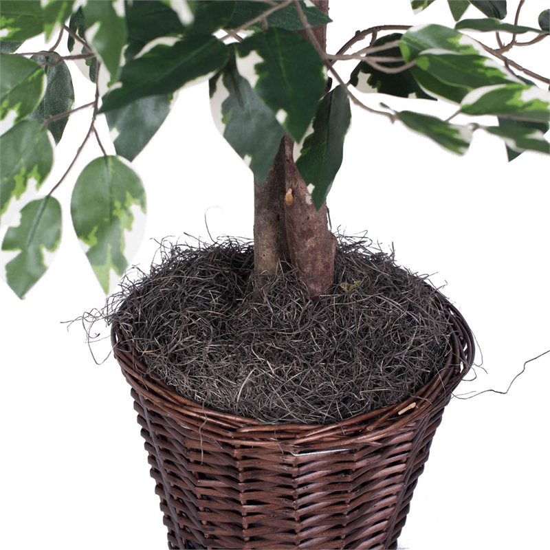 Pemberly Row 4' Artificial Variegated Ficus Bush w/ Rattan Basket in Green/White