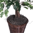 Pemberly Row 4' Artificial Variegated Ficus Bush w/ Rattan Basket in Green/White