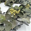 Pemberly Row Dried Preserved Valentines Day Real Green Eucalyptus Heart Wreath