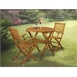 Pemberly Row Bistro Table and 2 Folding Dining Chairs in Natural Oil Finish