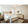 Pemberly Row Contemporary Queen Bed in Muted Earth Tones & Clay