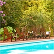 Pemberly Row Traditional Cedar Wood Patio Deck Adirondack Chair in Brown