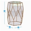 Pemberly Row Hexagonal Clear Glass and Metal Chairside End Table