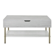 Pemberly Row Contemporary White Wood and Brass Lift Top Coffee Table