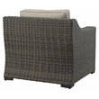 Pemberly Row Lounge Chair with Half Round Wicker in Brown (Set of 2)