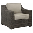 Pemberly Row Lounge Chair with Half Round Wicker in Brown (Set of 2)