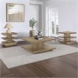 Pemberly Row Engineered Wood Contemporary End Table in Brown