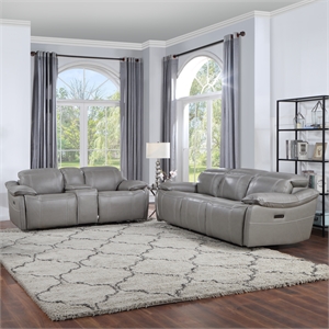 Pemberly Row Polyester Fabric Contemporary 2-piece Sofa Set in Gray