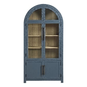 Pemberly Row Wood Modern / Contemporary Curio in Blue Finish