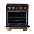 Pemberly Row Dual Fuel Range Natural Gas in Titanium Under Cabinet RangeHood