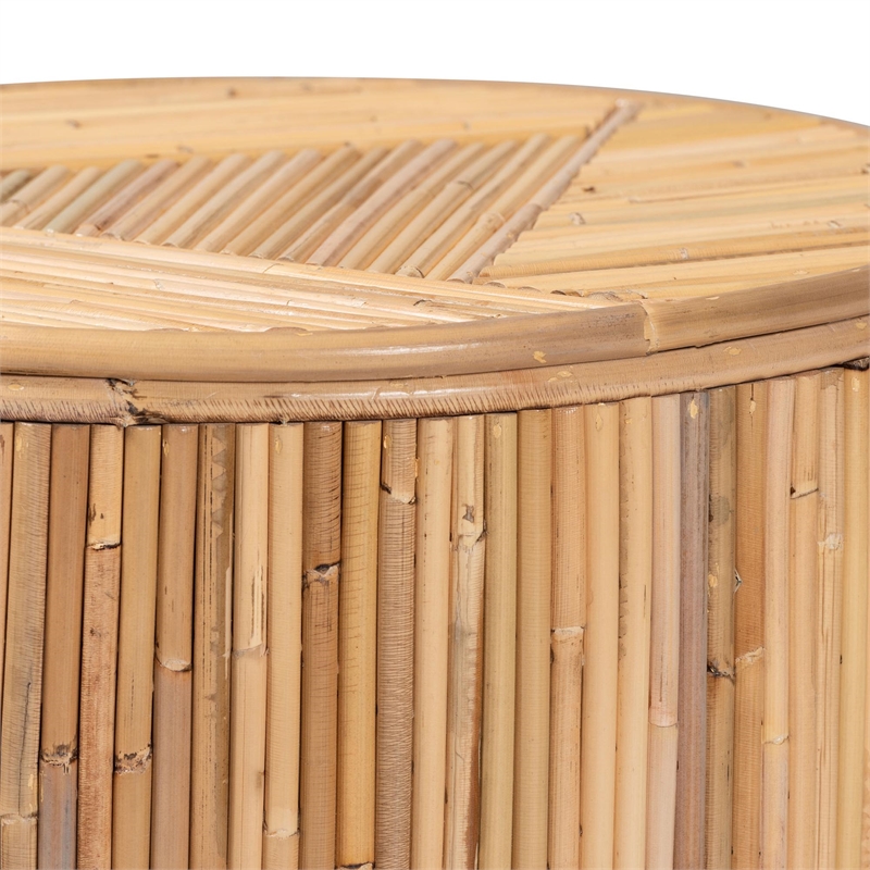 Pemberly Row Brown Modern Bohemian Natural Rattan Coffee Table
