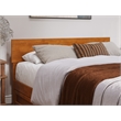 Pemberly Row Queen Platform Bed with Panel Footboard & TXL Trundle in Toffee