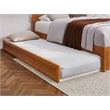 Pemberly Row Queen Platform Bed with Panel Footboard & TXL Trundle in Toffee