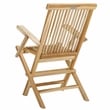 Pemberly Row Teak Wood and Brass Folding Arm Chair in Natural