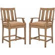 Pemberly Row Eucalyptus Wood Patio Counter Stools in Natural / Brown