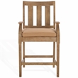 Pemberly Row Eucalyptus Wood Patio Counter Stools in Natural / Brown