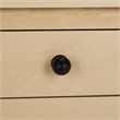 Pemberly Row Pine Wood 2 Drawer Desk with Storage in Natural