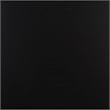 Pemberly Row Pine Wood 2 Drawer Desk with Storage in Matte Black