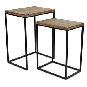 Pemberly Row 2 Piece Side Wood Top and Metal Frame Table Set