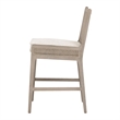 Pemberly Row Oak and Cane Counter Stool 20.75