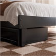 Pemberly Row Full Solid Wood Platform Bed with Storage Drawers in Black