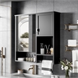 Pemberly Row Wall Mounted Bathroom Medicine Cabinet with Mirror & Towel Bar