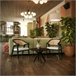 Pemberly Row Cane Rattan Dining Chair with Padded Seat in Natural/Black