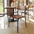Pemberly Row Set of 2 Solid Wood Dining Chairs with Black Frame - Antique Copper