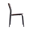 Pemberly Row Set of 2 Solid Wood Dining Chairs with Black Frame - Antique Copper
