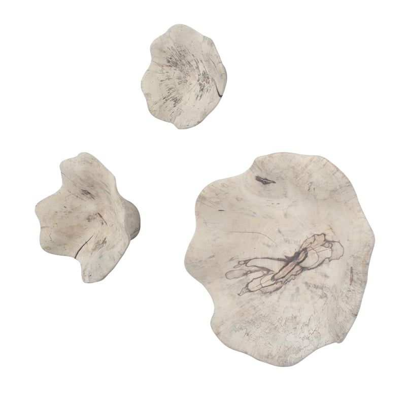 Pemberly Row Bleached Tamarind Wood Wall Decor in Brown (Set of 3)