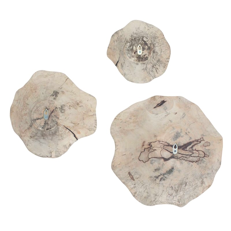 Pemberly Row Bleached Tamarind Wood Wall Decor in Brown (Set of 3)