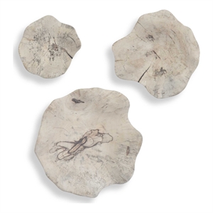 Pemberly Row Bleached Tamarind Wood Wall Decor in Brown (Set of 3)