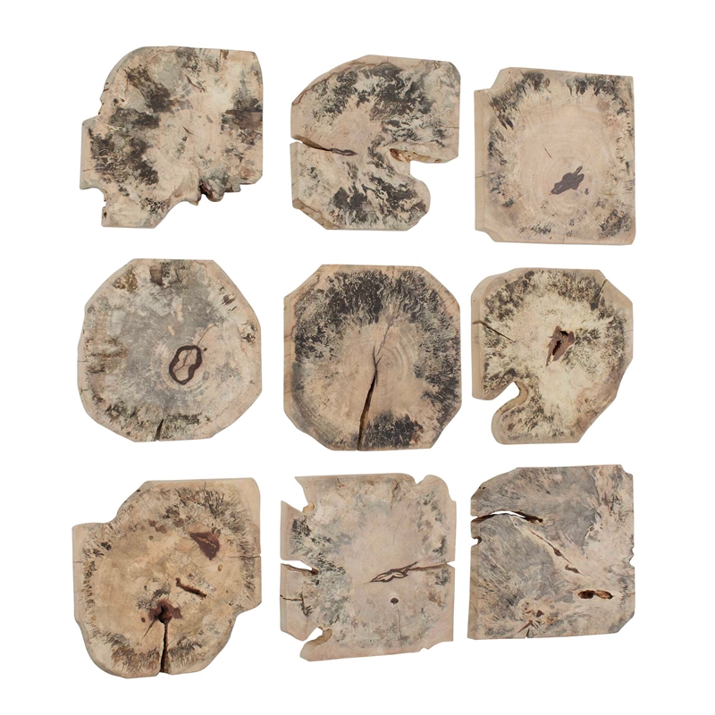 Pemberly Row Natural Tamarind Wood Bleached Wall Decor in Brown (Set of 9)