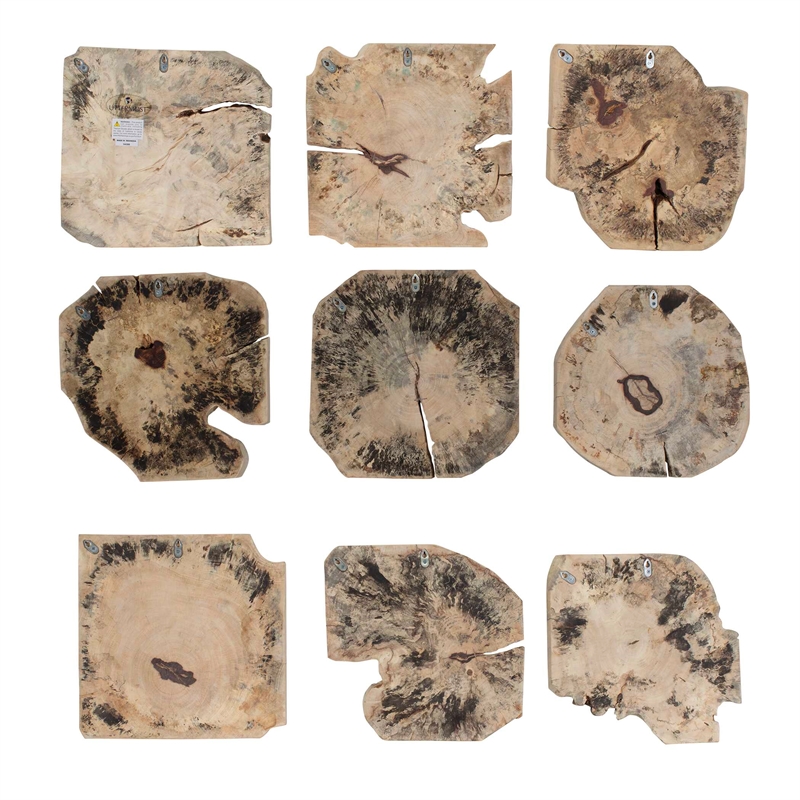 Pemberly Row Natural Tamarind Wood Bleached Wall Decor in Brown (Set of 9)