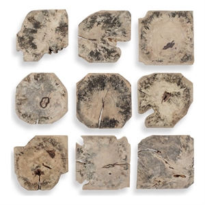 Pemberly Row Natural Tamarind Wood Bleached Wall Decor in Brown (Set of 9)