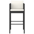 Pemberly Row 5 Piece Steel Standard Bar Set in Black/White/Cream