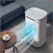 Pemberly Row 4-in-1 Portable Evaporative Air Cooler and Humidifier with Timer