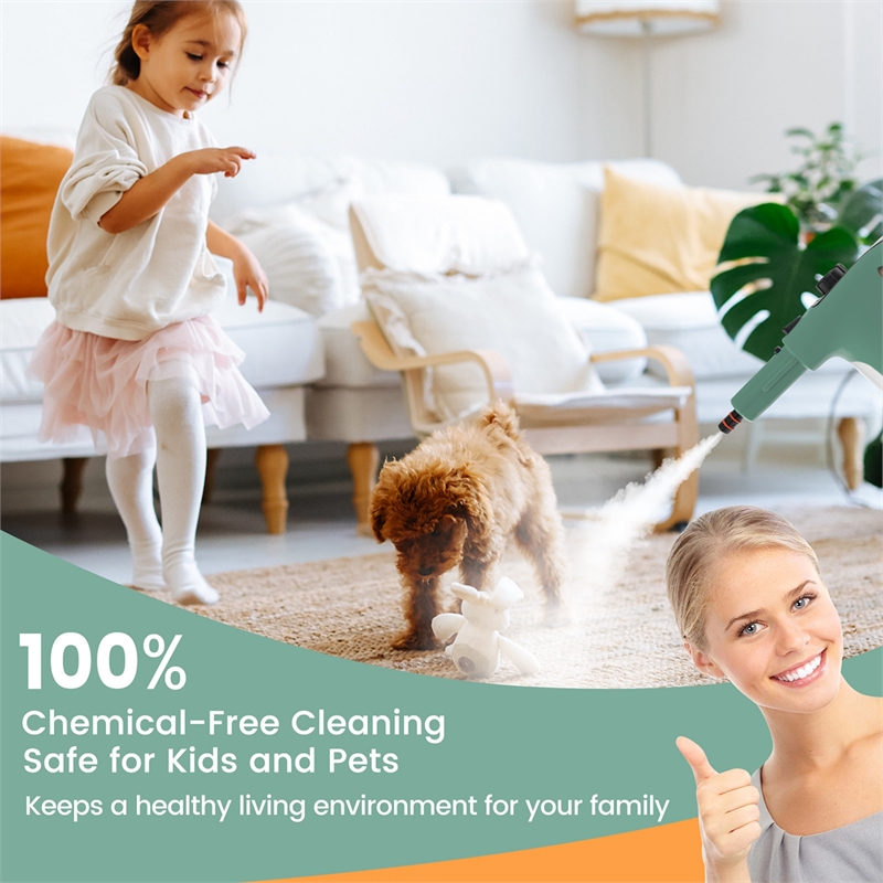 Pemberly Row 1400W Multipurpose Handheld Steam Cleaner and Mop in Green