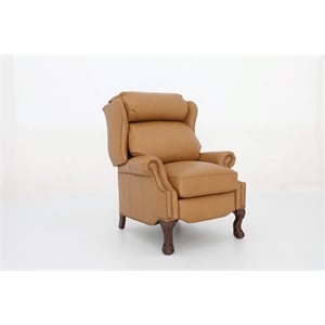 Pemberly Row Premium Push Thru The Arms Recliner in Santa Fe Brandy