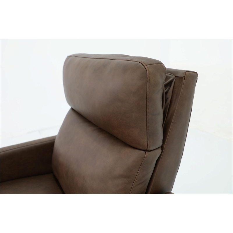 Pemberly Row Premium Zero Gravity Power Recliner in Oasis Walnut