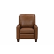 Pemberly Row Premium Push Thru The Arms Recliner in Oregon Oak