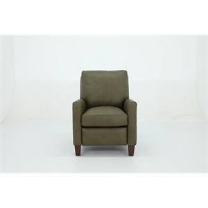 Pemberly Row Premium Push Thru The Arms Recliner in Oasis Olive