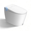Pemberly Row White Ceramic Smart Toilet with Tank Flush Bidet and Auto Open Lid
