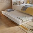 Pemberly Row Twin Platform Bed with Footboard and Twin Trundle in White